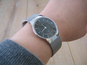 SKAGENスカーゲンの腕時計233SSSBを買っちゃいました