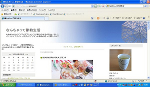 なんちゃって節約生活.jpg